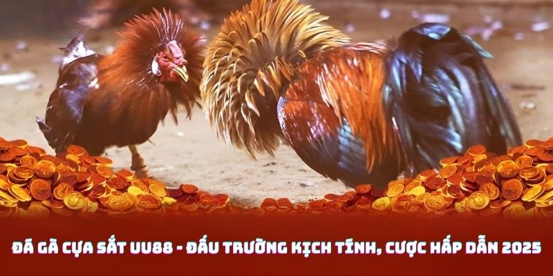 Đá Gà Cựa Sắt UU88 - Đấu Trường Kịch Tính, Cược Hấp Dẫn 2025