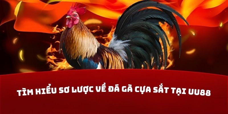 Tìm hiểu sơ lược về đá gà cựa sắt tại UU88